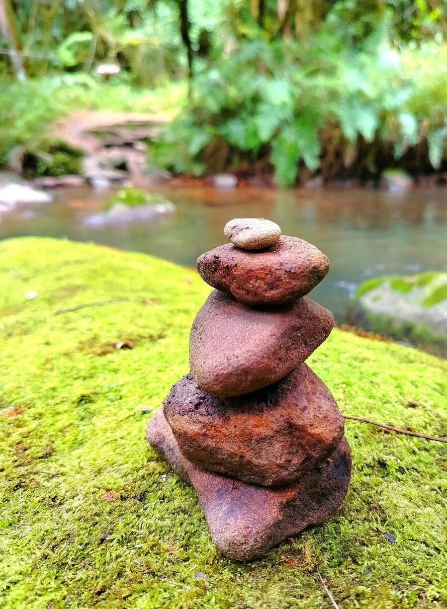 Balancing Life