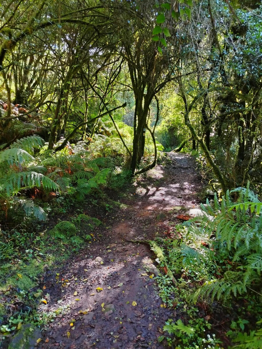 Path of Restoration